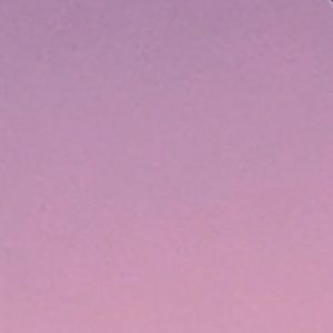 Meet your Posher, Ash